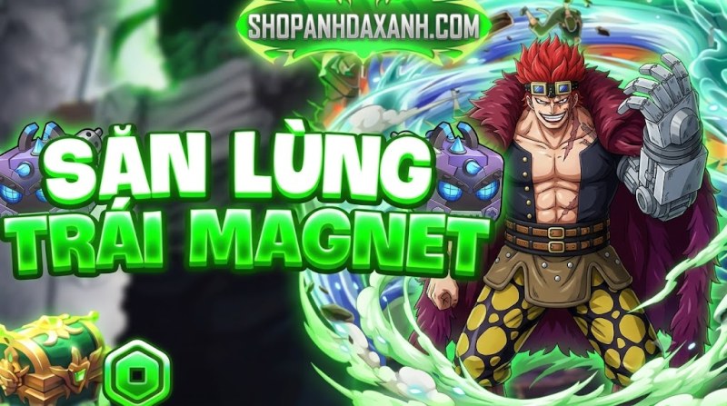 SĂN LÙNG MAGNET